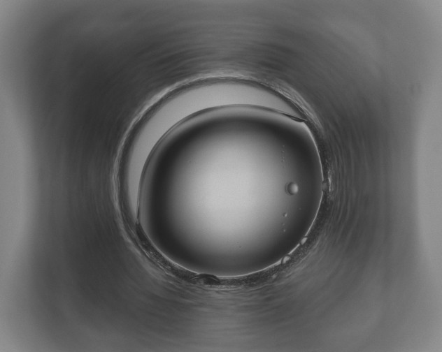 X0000113080436200909041132