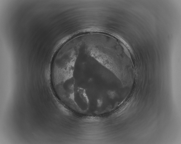 X0000113080437200909041132