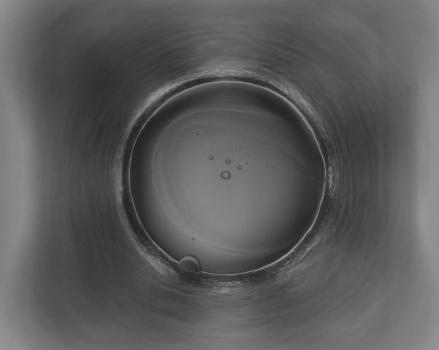 X0000113080438200909041132