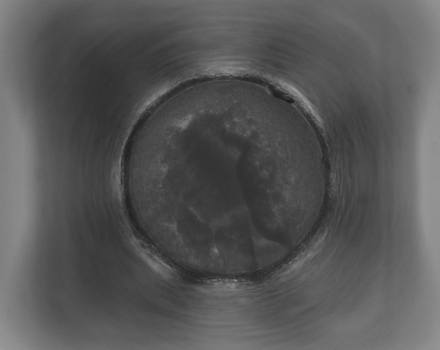 X0000113080439200909041132