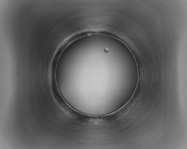 X0000113080440200909041132