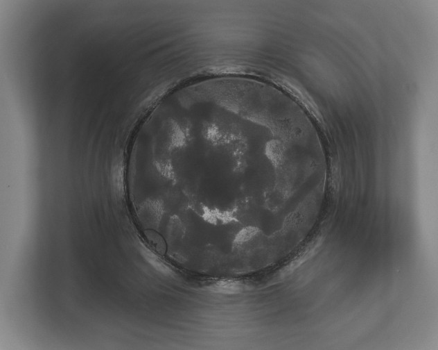 X0000113080441200909041132