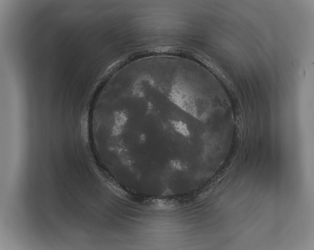 X0000113080442200909041132