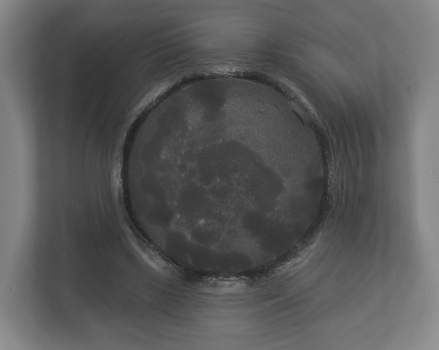 X0000113080443200909041132