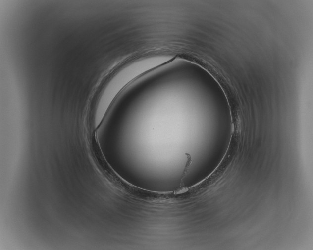 X0000113080444200909041132