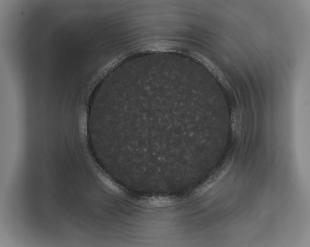 X0000113080445200909041132