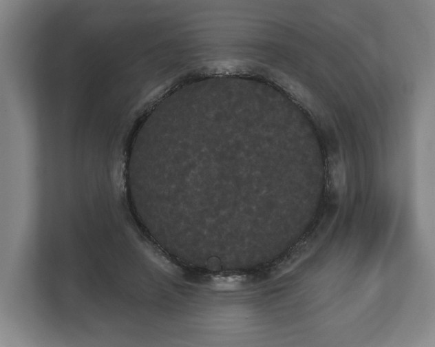 X0000113080450200909041132