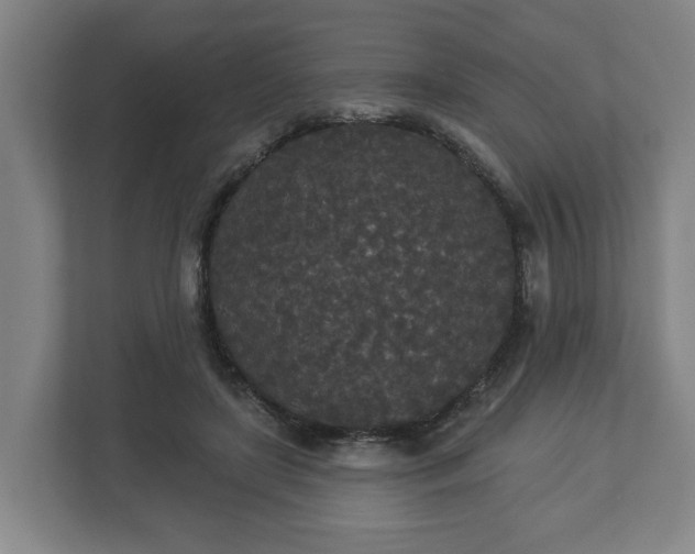 X0000113080451200909041132