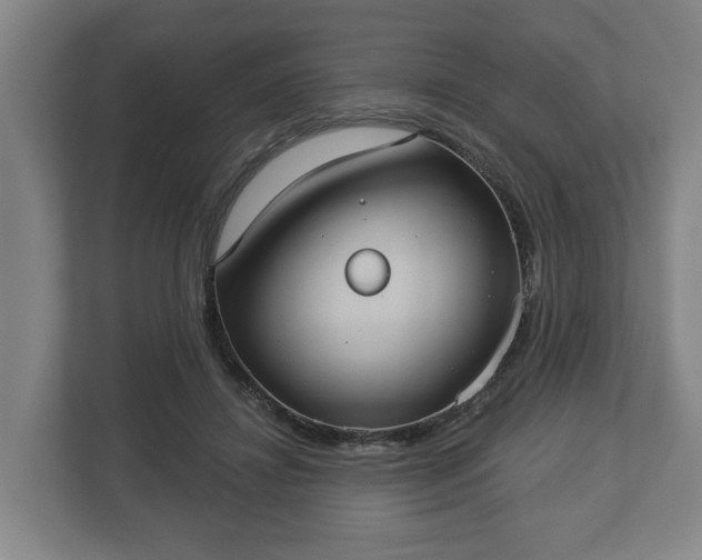 X0000113080452200909041132