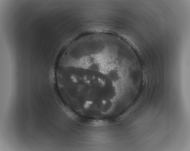 X0000113080453200909041132