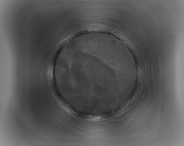 X0000113080454200909041132