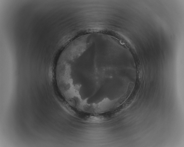 X0000113080455200909041132