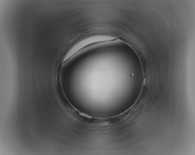 X0000113080456200909041132