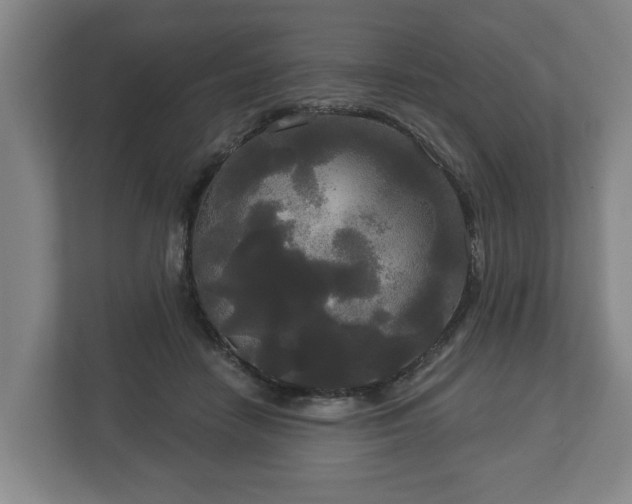 X0000113080458200909041132