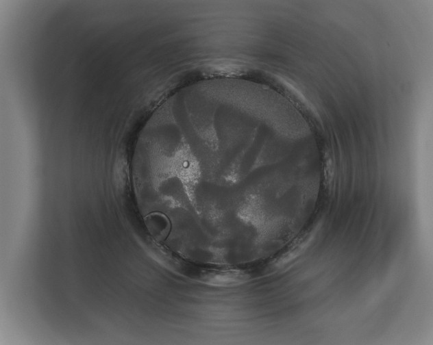 X0000113080459200909041132