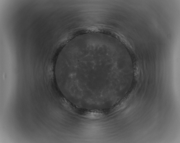 X0000113080466200909041132