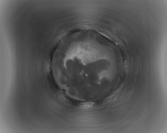 X0000113080474200909041132