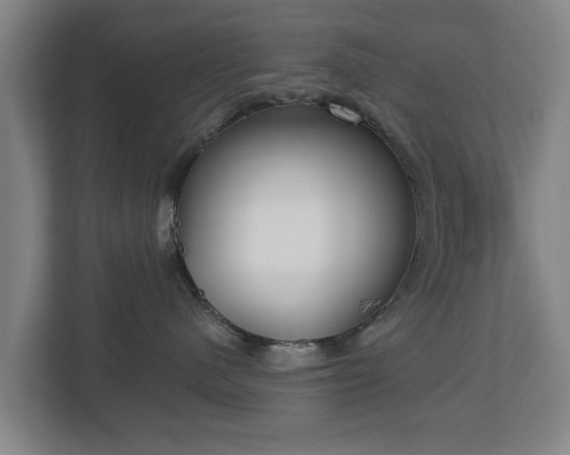 X0000113080480200909041132