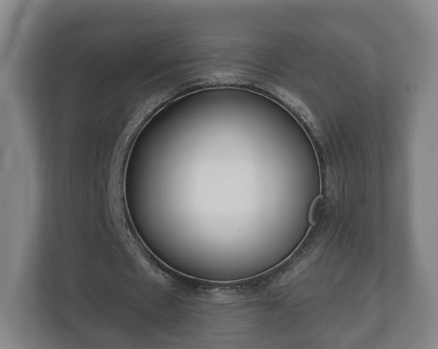 X0000113080481200909041132