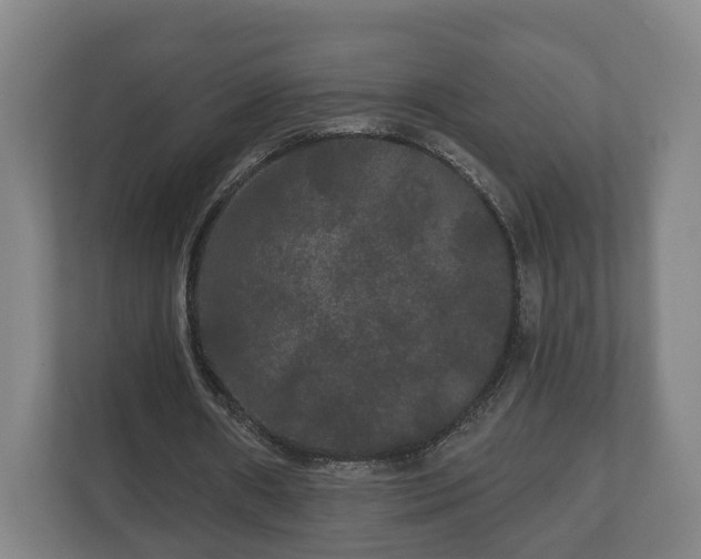 X0000113080482200909041132