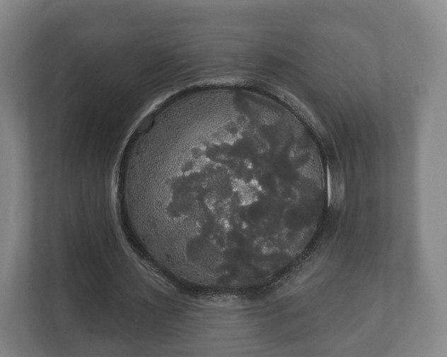 X0000113080483200909041132