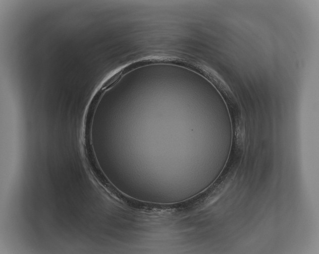 X0000113080484200909041132