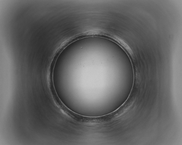 X0000113080485200909041132