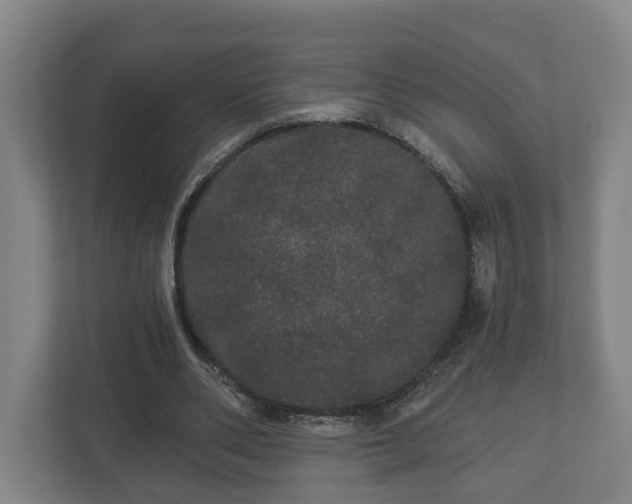 X0000113080486200909041132