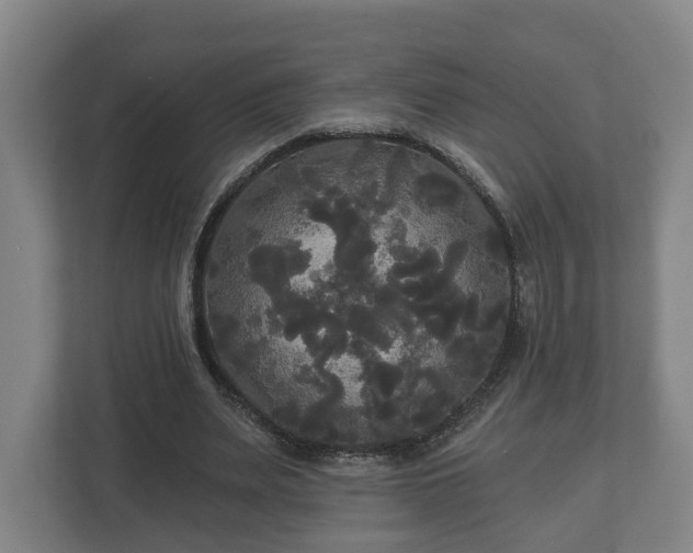 X0000113080487200909041132