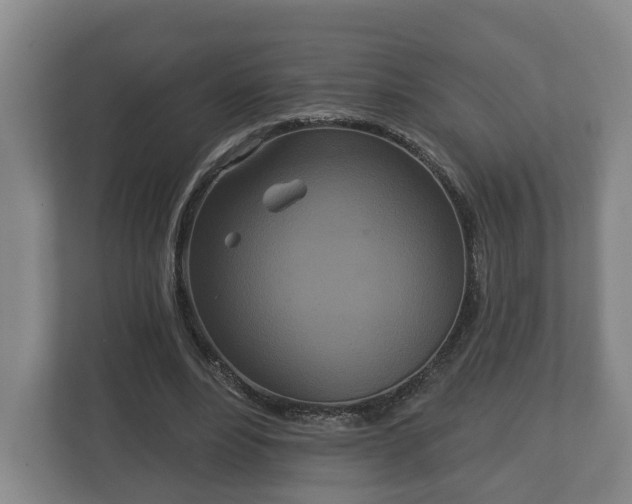 X0000113080488200909041132