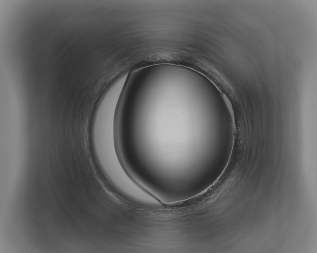 X0000113080489200909041132