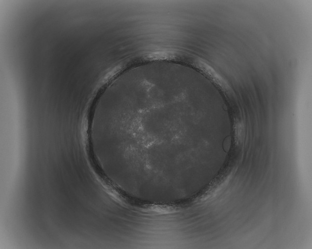 X0000113080490200909041132