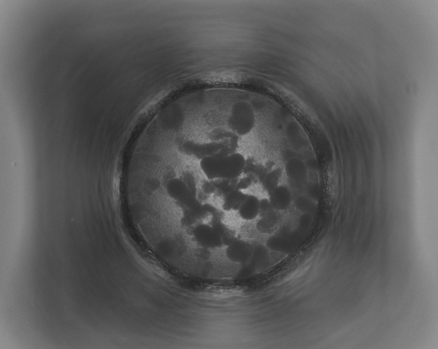 X0000113080491200909041132