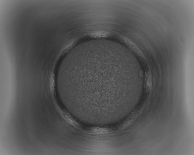 X0000113080494200909041132