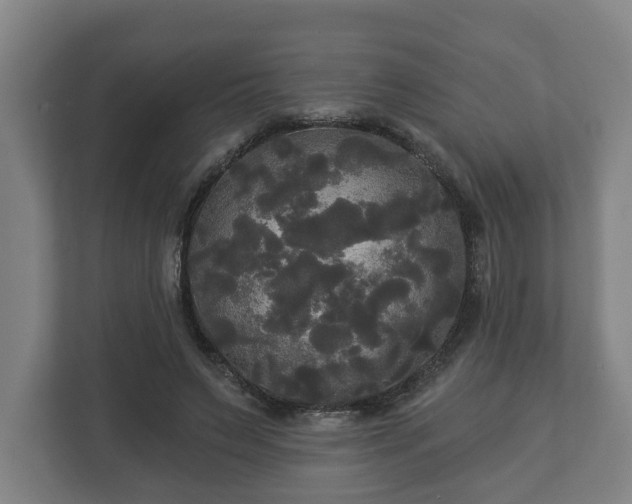 X0000113080495200909041132