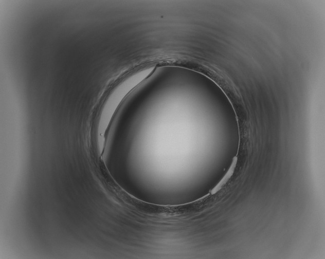 X0000113080496200909041132