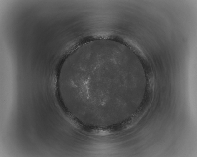 X0000113080498200909041132