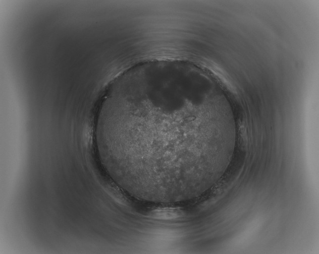 X0000113080499200909041132