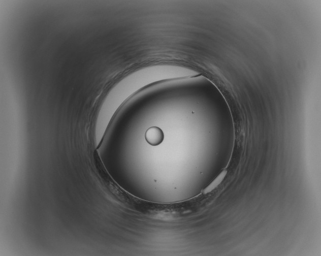 X0000113080500200909041132