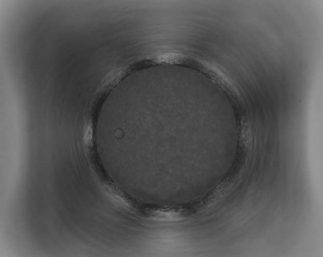 X0000113080502200909041132