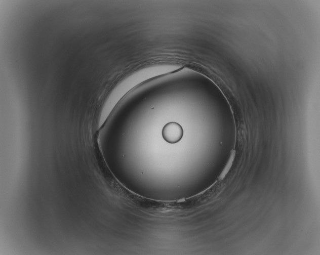 X0000113080504200909041131