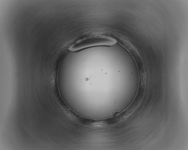 X0000113080505200909041131