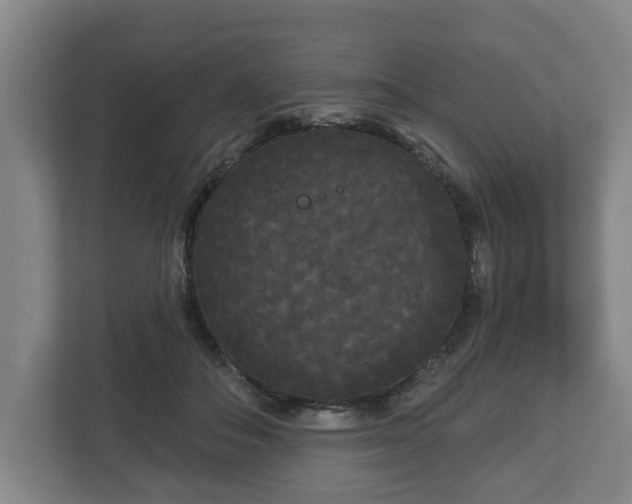 X0000113080506200909041131