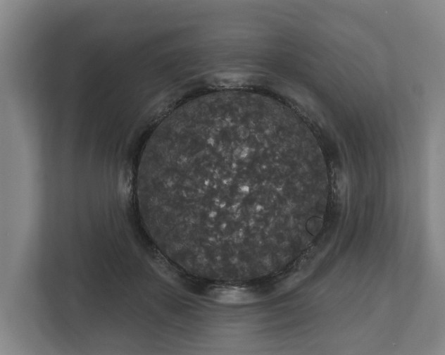 X0000113080507200909041131