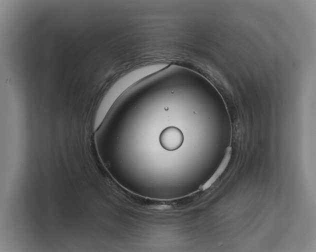 X0000113080509200909041131