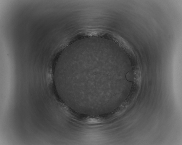 X0000113080510200909041131