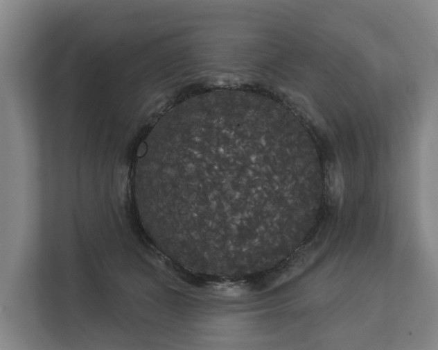 X0000113080511200909041131