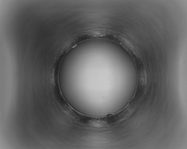 X0000113080512200909041131