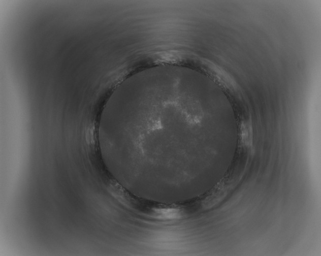 X0000113080514200909041131