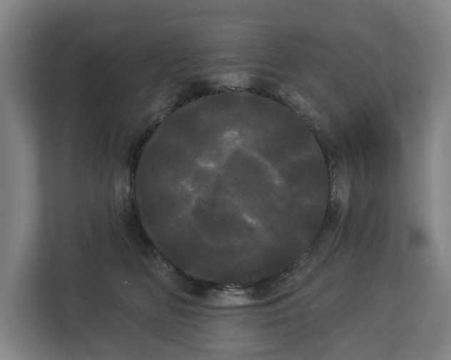 X0000113080518200909041131